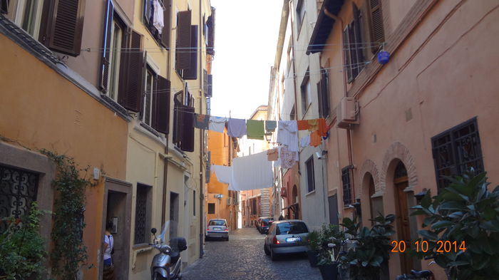 Roma 2014 140