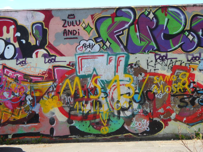 DSCN0373