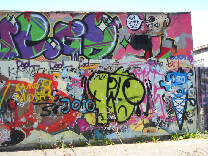 DSCN0374