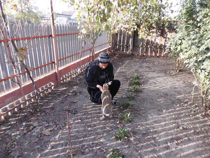 CIMG1590 - poze pentru Marius