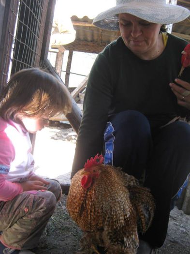 10457153_10204314667041864_1174097091980749427_n