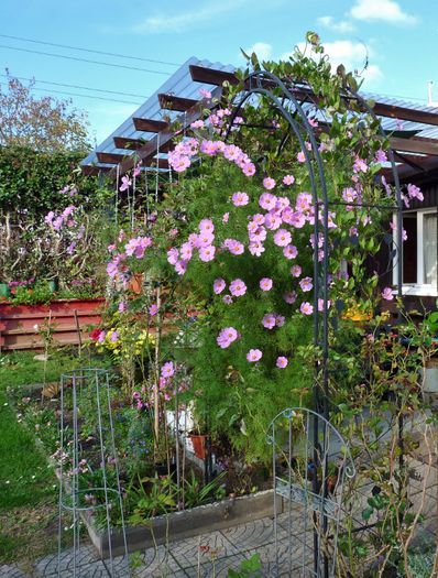 ; P1540477 (3) (607x800)
