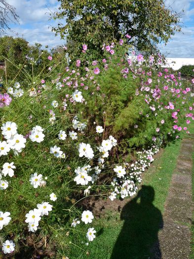 ; P1540338 (600x800)
