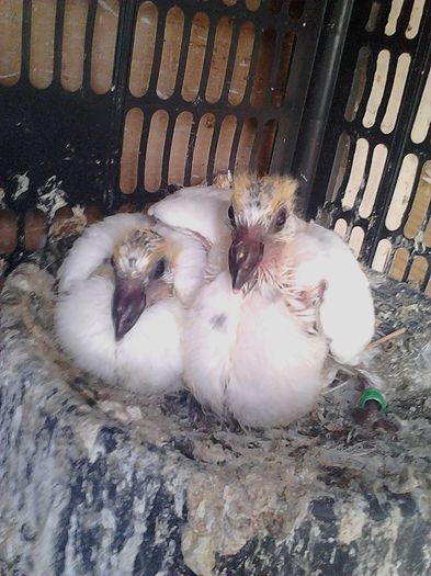 IMG_20140913_131418_245