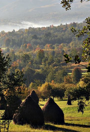  - Maramures