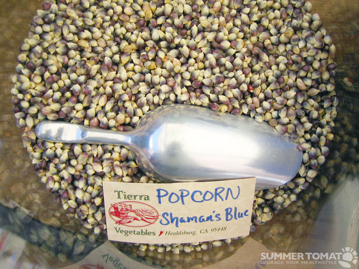 shamans-blue-popcorn