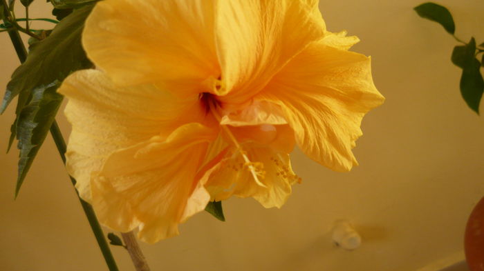 026