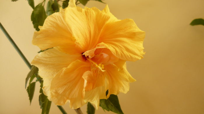 027