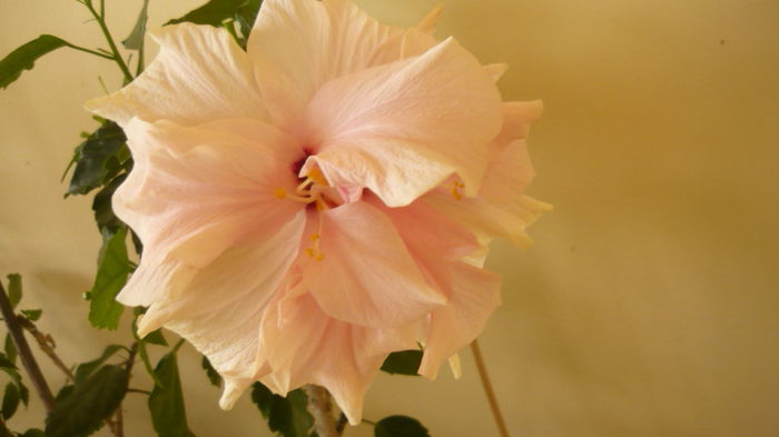 028