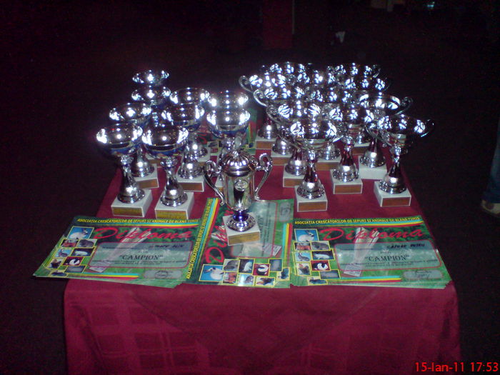 DSC00576; diplome si medalii pt.participantii de la expo timis 2011
