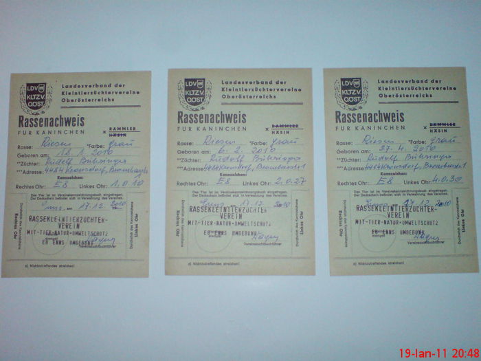 DSC00598; certificate iepuri de la domnul buhringer rudolf adusi prin intermediul domnului craciunescu
