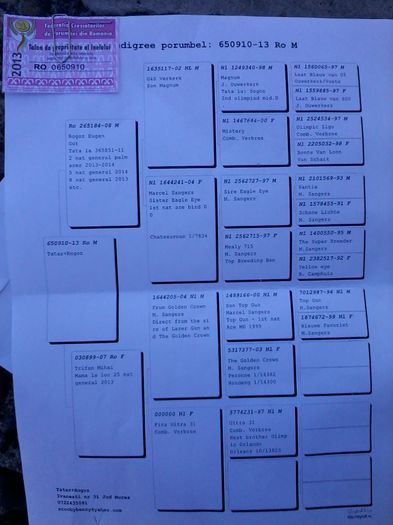 2014-10-29 11.14.52; Frate cu Loc 3 Lot Olimpic 2015 Loc 2 National General palmares 2013-2014
Loc 5 National General 2014
Loc 8 National General 2013
Loc 12 National Fond 2014
Loc 16 National AS Fond 2014
Loc 15 Nat
