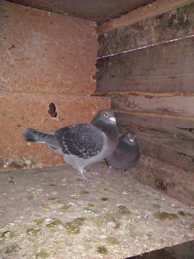 10553501_1564183000478079_8065883829790391060_n