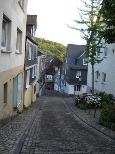 Nikon Coolpix 19 55 207 - Siegen Orasul vechi