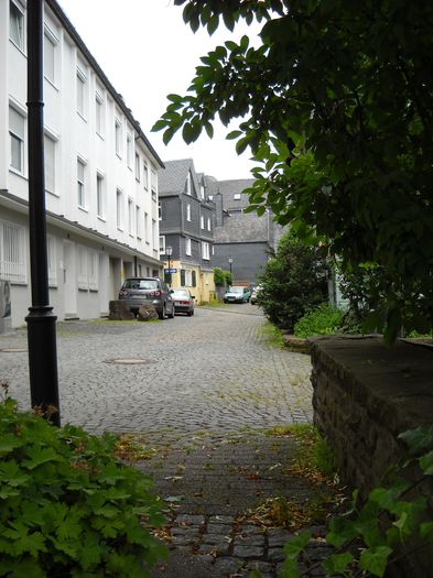 Nikon Coolpix 1916111 064