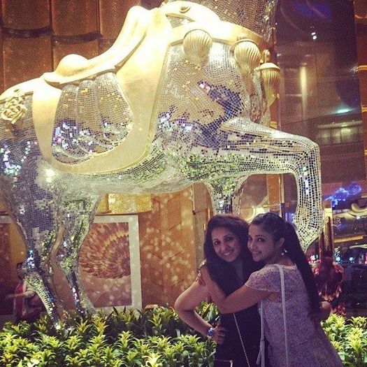  - Shilpa Anand  2013-2014