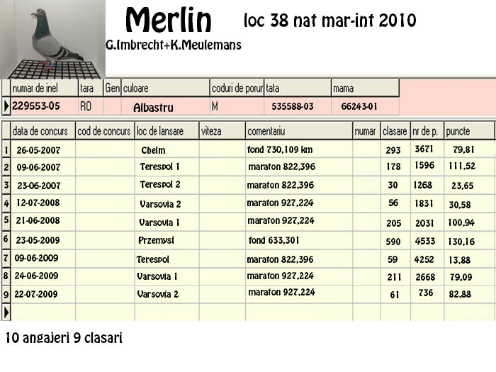 Merlin - 5 REZULTATE