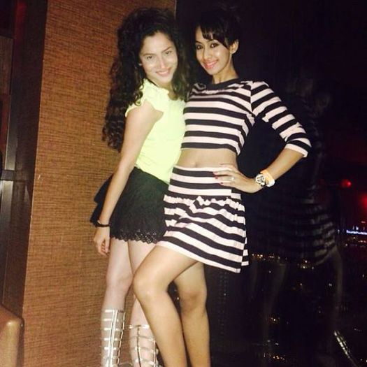  - Ankita 2013-2014