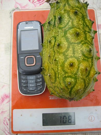 pictures 636 - kiwano