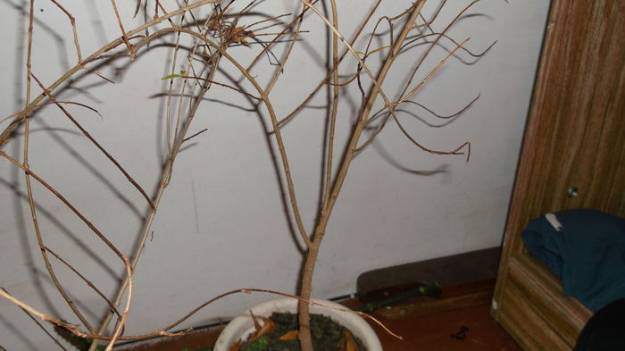 update 30 octombrie 2014