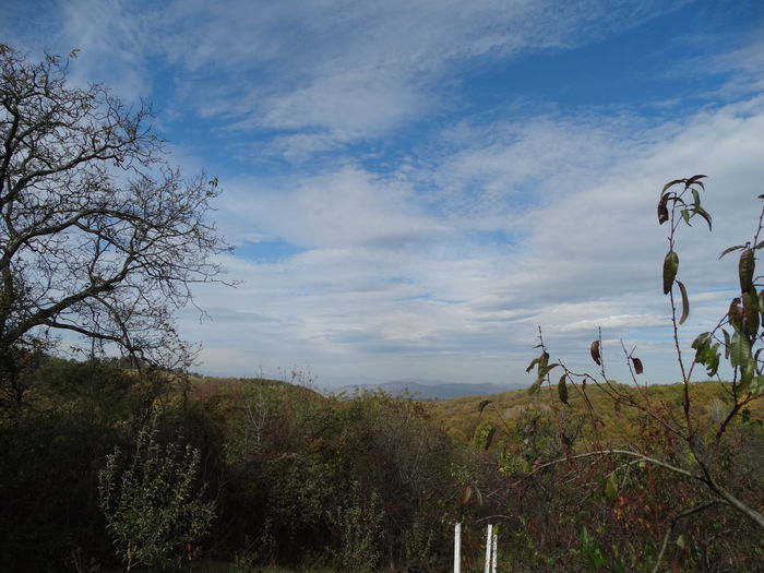 DSC00606