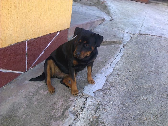 HERRA
