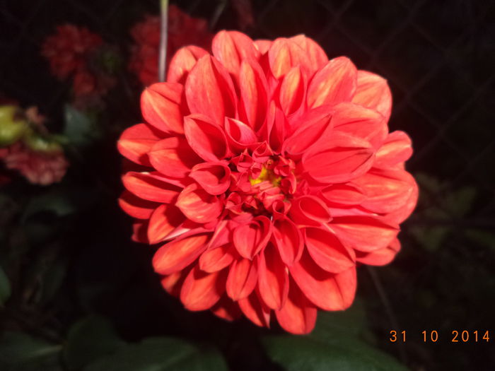 DSC01804