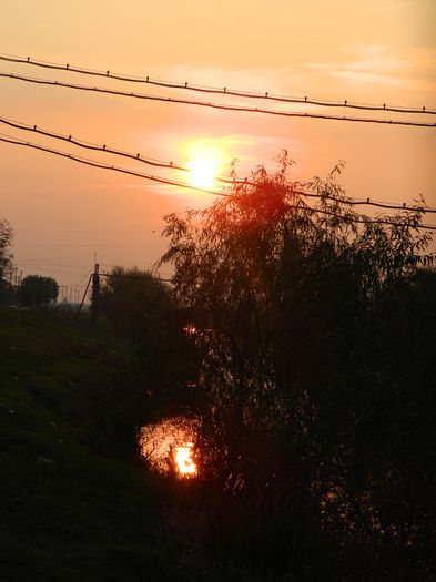 DSCN2453 - SANTIER IN LUCRU