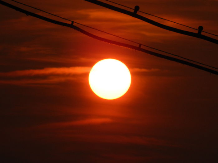 DSCN2462
