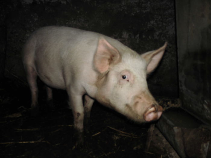 CIMG1624 - poze pentru Marius