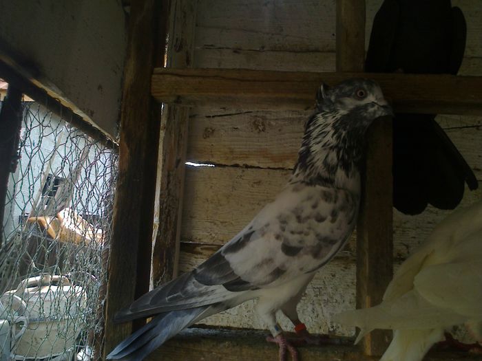 Imag 011801
