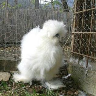 2014-11-02 11.58.40-1-1