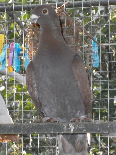 P1030560