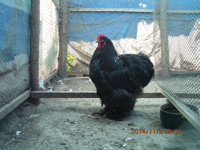 10687444_1559312484302551_84358536997370621_o