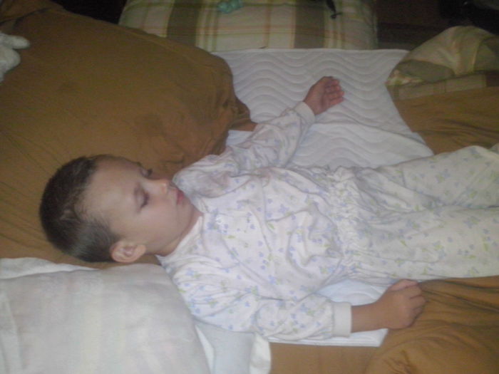 CAM00260