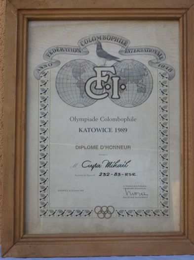 L 2 Olimpiada Katowice 1989 - 01 MENTORUL MEU