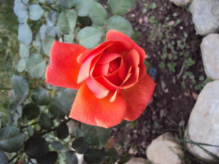 DSC04997