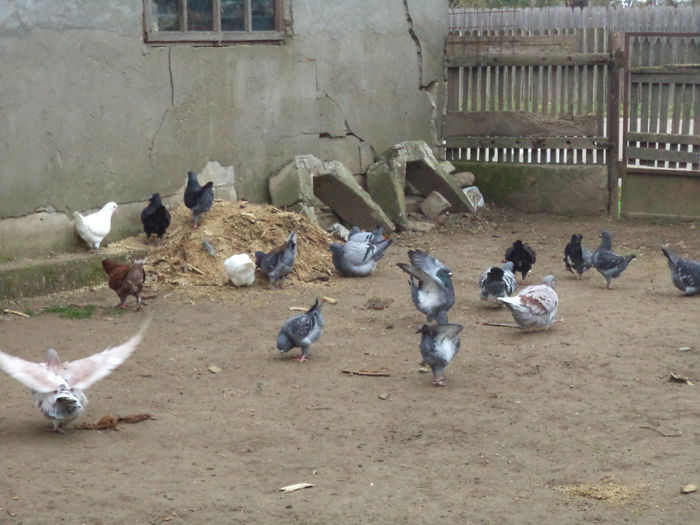 DSC02260 - MATCA KINGI 2015