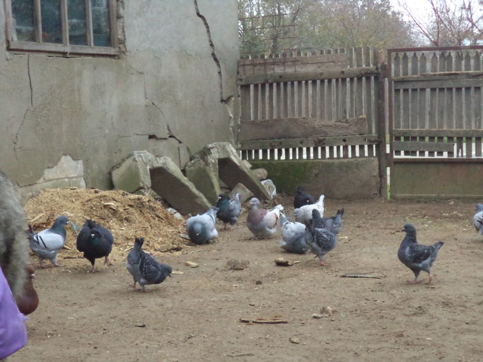 DSC02280 - MATCA KINGI 2015