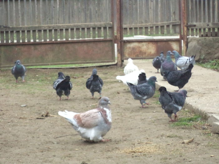 DSC02531 - MATCA KINGI 2015