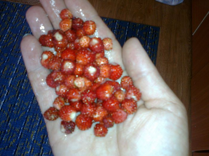 120620141979 - 0-Anul 2014