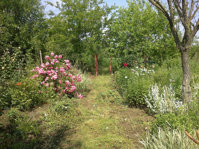 140620141987 - 0-Anul 2014