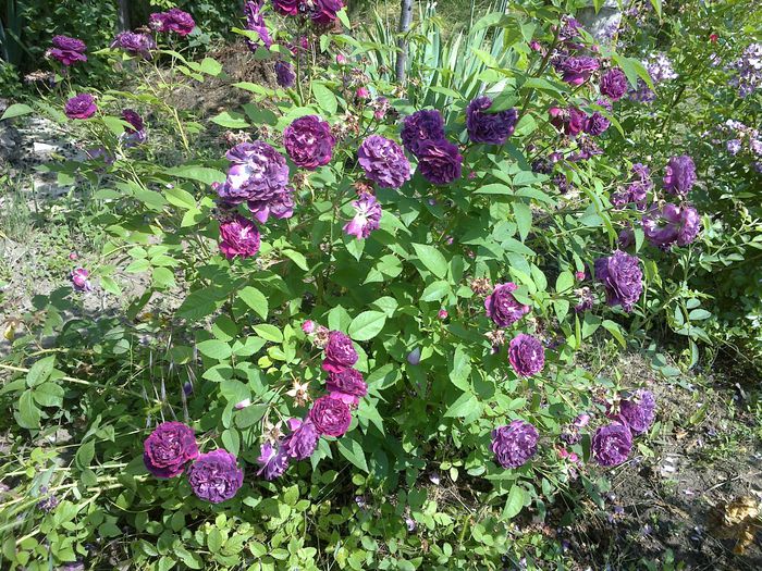 140620141998 - 0-Anul 2014