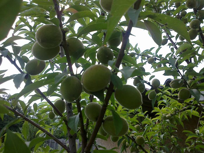 140620142000 - 0-Anul 2014