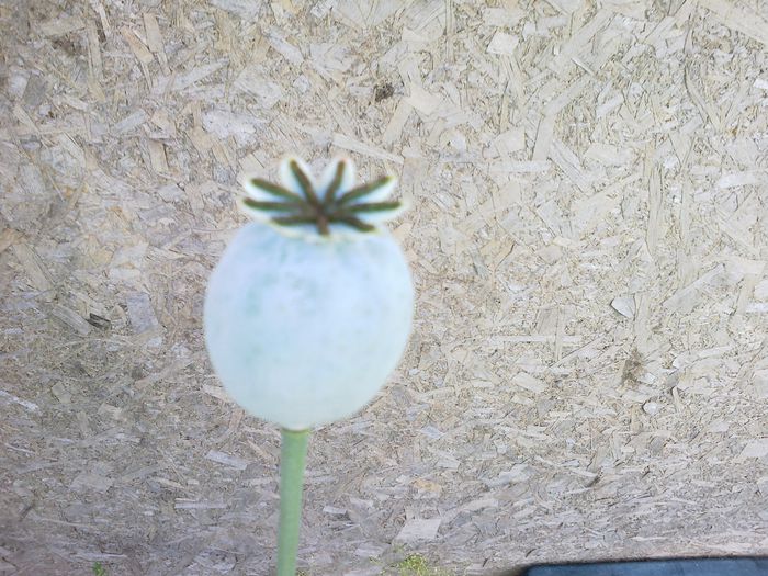 140620142004 - 0-Anul 2014