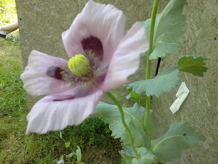 140620142005 - 0-Anul 2014