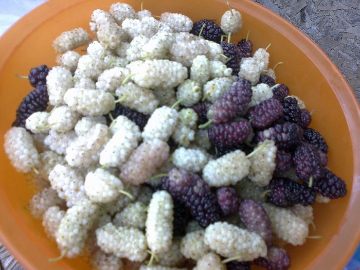 140620142006 - 0-Anul 2014