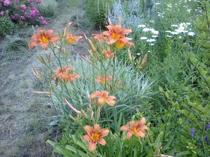 140620142009 - 0-Anul 2014