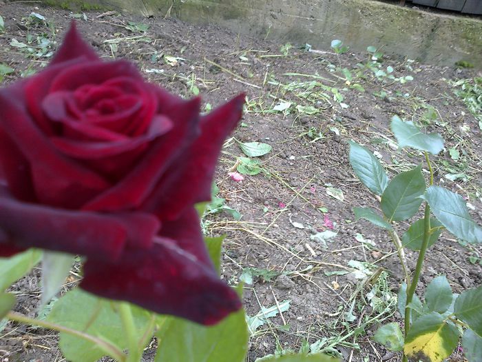 140620142011 - 0-Anul 2014