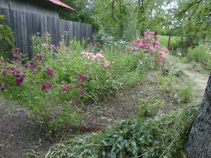 140620142012 - 0-Anul 2014